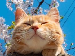 Какая погода в Харькове в первый день апреля