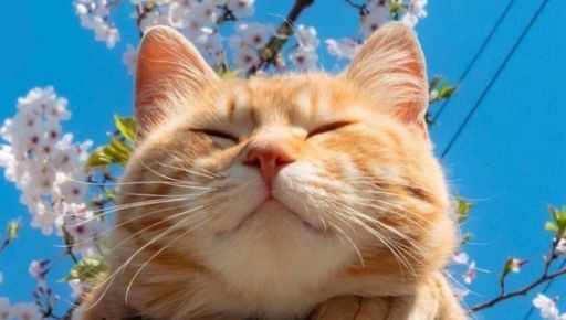 Якою буде погода у Харкові у перший день квітня