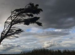 Харьковщину накроет ненастье: синоптики предупреждают о сильном ветре