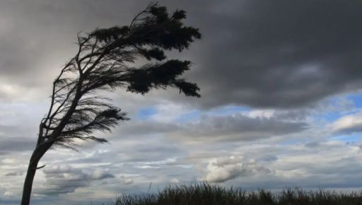Харьковщину накроет ненастье: синоптики предупреждают о сильном ветре
