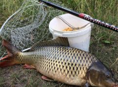 На Харьковщине рыбаки нанесли более 36 тыс. грн ущерба за месяц