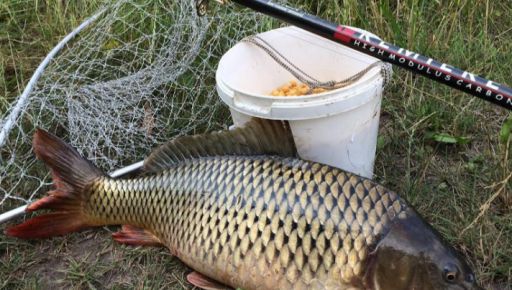 На Харківщині рибалки завдали понад 36 тис. грн збитків за місяць