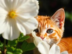 У Харкові потеплішає: прогноз погоди на 16 квітня