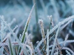 На Харківщині вдарять заморозки: синоптики оголосили помаранчевий рівень небезпеки