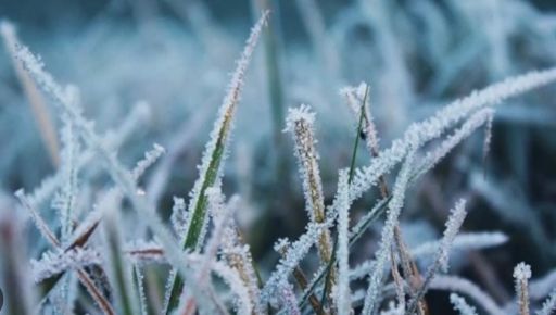 В Харьковской области ударят заморозки: синоптики объявили оранжевый уровень опасности