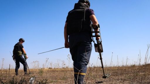 В Харьковской области за неделю разминировали более 71 га территорий