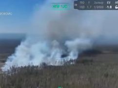 На Харківщині горить ліс: вогонь охопив вже 10 га