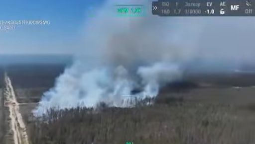 На Харківщині горить ліс: вогонь охопив вже 10 га