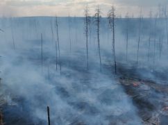На Харьковщине в результате обстрелов загорелось более 20 га леса