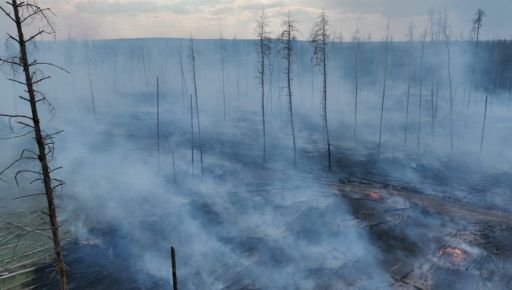 На Харківщині внаслідок обстрілів загорілось понад 20 га лісу