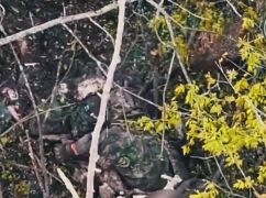 На Харківщині FPV-дрони знищили двох окупантів у "зеленці": кадри з фронту