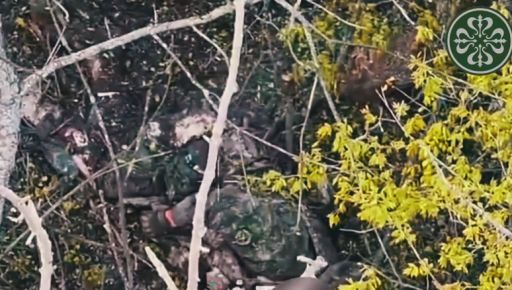 На Харківщині FPV-дрони знищили двох окупантів у "зеленці": кадри з фронту