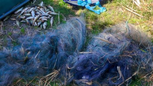 В водохранилище на Харьковщине обнаружили браконьерские сетки и спасли более 11 кг рыбы