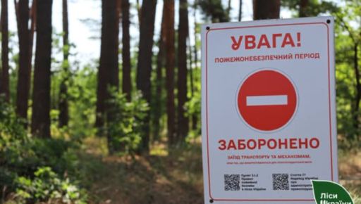 На Харківщині через спеку заборонили відвідувати ліси: ризик пожеж критичний