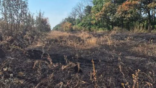 Росіяни атакували дроном "Молнія" село на Харківщині: пошкоджено мікроавтобус