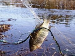 На Харківщині двоє чоловіків незаконно наловили риби на понад 256 тис. грн