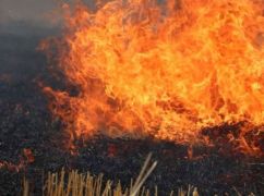 В Харьковской области за прошлую неделю выгорело более 58 га экосистем