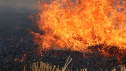 В Харьковской области за прошлую неделю выгорело более 58 га экосистем