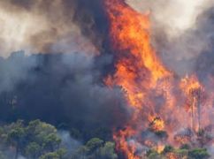 Росіяни завдали авіаудару по екосистемі на Харківщині