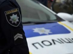 В Харькове ищут причастных к жестокой гибели кота: им грозит до трех лет тюрьмы