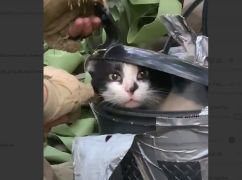 В Харьковской области спецназовцы провели необычную эвакуацию: кого спасли полицейские