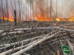У Харківській області другу добу ліквідовують лісові пожежі, що сталися через обстріли