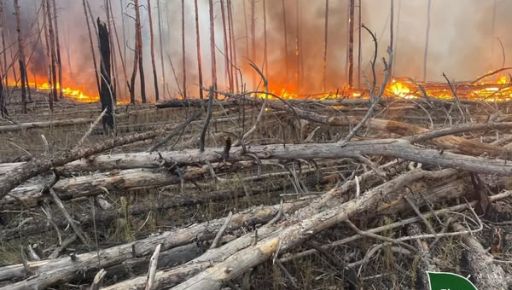 У Харківській області другу добу ліквідовують лісові пожежі, що сталися через обстріли