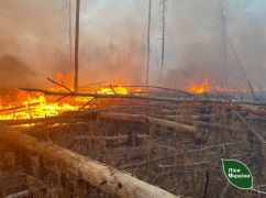 Вблизи Балаклеи загорелся лес в результате детонации взрывчатки