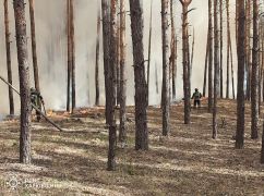 На Харківщині внаслідок російських обстрілів горять ліси: Площа пожежі перевищила 90 га
