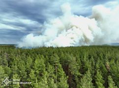 Пожежна небезпека на Харківщині: синоптики оголосили 5-й клас загрози