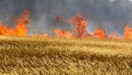 На Харьковщине из-за обстрелов оккупантов горят пшеничные поля - Синегубов