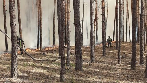 У Харківській області оголошено надзвичайний рівень пожежної небезпеки