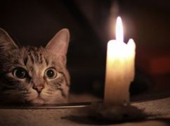 Стало известно, как будут выключать свет в Харьковской области 28 января