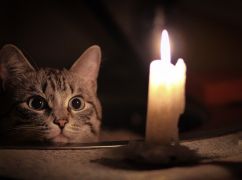 В Харьковской области применены почасовые отключения: график на 8 февраля