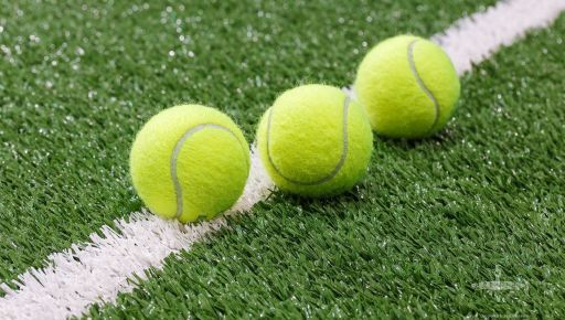 Світоліна розповіла, які перші кроки зробила би на посаді Міністра спорту