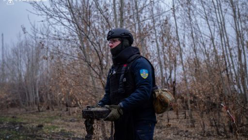 Под Харьковом пожилая женщина подорвалась на взрывном устройстве