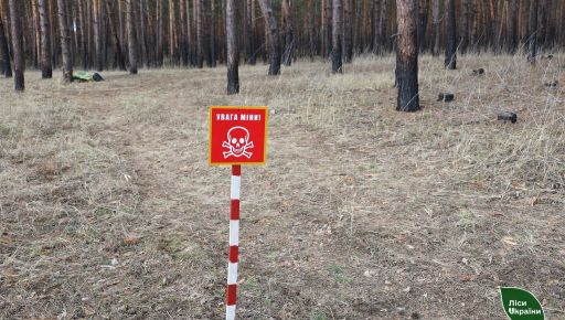 Стало известно, сколько гектар земли разминировали на Харьковщине с начала полномасштабной войны