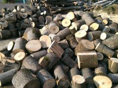 Харьковщине выделили дополнительные 20 млн грн на закупку дров