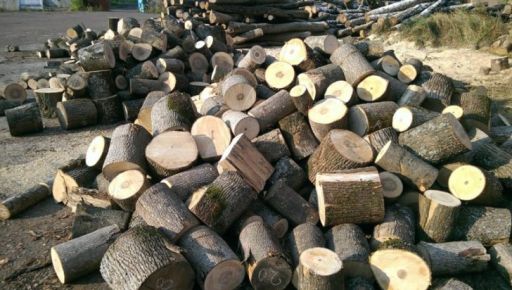 Жителей прифронтовых районов Харьковщины обеспечат бесплатными дровами