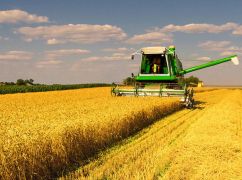 Харківська область вже забезпечена необхідною кількістю зерна - ОВА