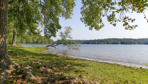 У Харкові чоловік самовільно побудувався на березі озера: поліція оголосила підозру