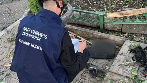 В Чугуеве оккупанты ударили дроном по админзданию - Минаева