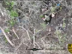 Харьковская бригада показала, как уничтожает "норы" врага с неба: Видео меткой работы