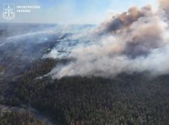 Жителю Балаклеи грозит тюрьма за окурок в лесу: ущерб от пожара составил 30 млн грн