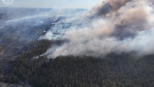 Жителю Балаклії загрожує тюрма за недопалок в лісі: збитки від пожежі склали 30 млн грн