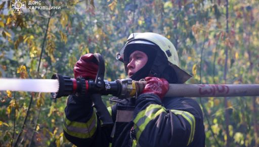 В Изюмском районе горит лес