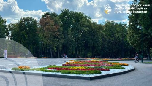 На Харківщині стовпчик термометра підніметься до 33°: прогноз на 20 липня