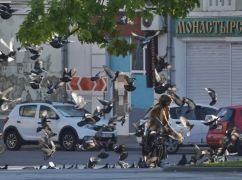 Синоптики сообщили, до какой отметки поднимется температура в воскресенье в Харьковской области