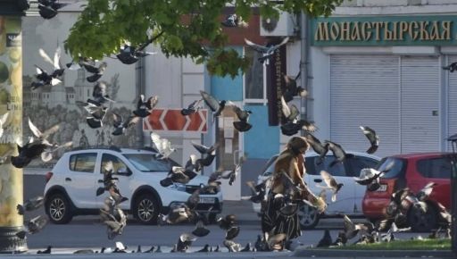 В Харьковской области ожидается туман: прогноз погоды на 2 августа