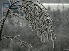 Синоптики сообщили, какой будет погода в Харьковской области 17 декабря